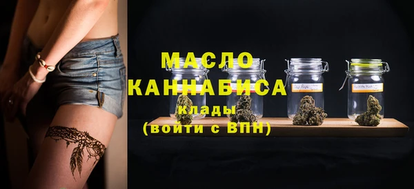 мдпв Инта