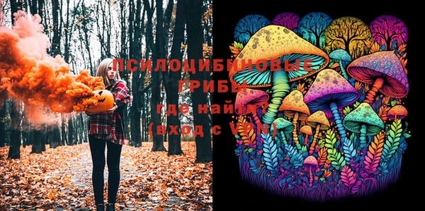 мет Иннополис