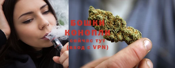 мдпв Инта