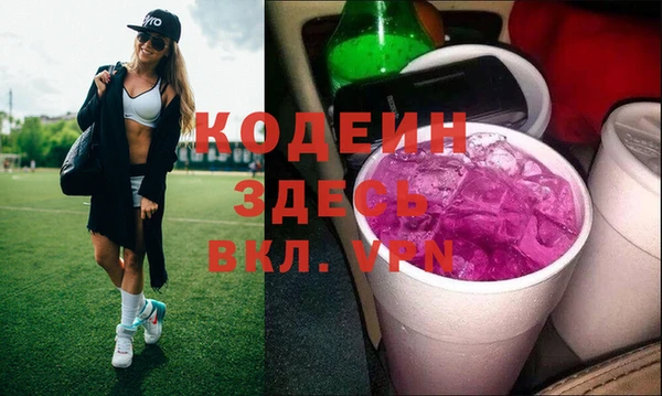 мдпв Инта