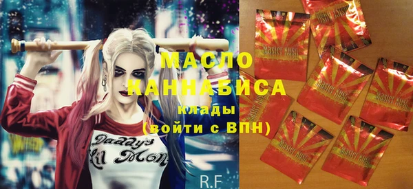 мдпв Инта