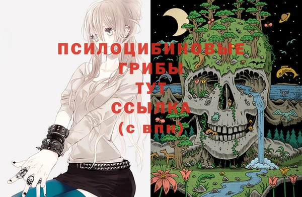 таблы Инсар