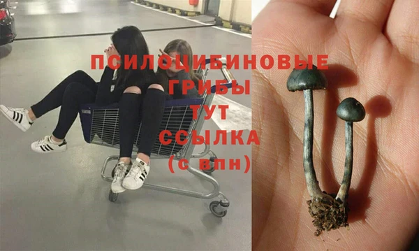 таблы Инсар