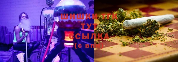 мдпв Инта