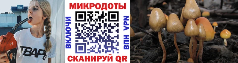 Псилоцибиновые грибы GOLDEN TEACHER  Купить закладки  Жуков 