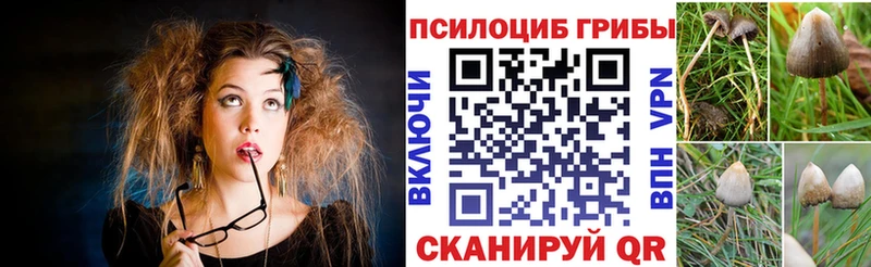 Псилоцибиновые грибы ЛСД Жуков