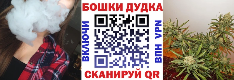 Купить закладки  Жуков  Конопля индика 